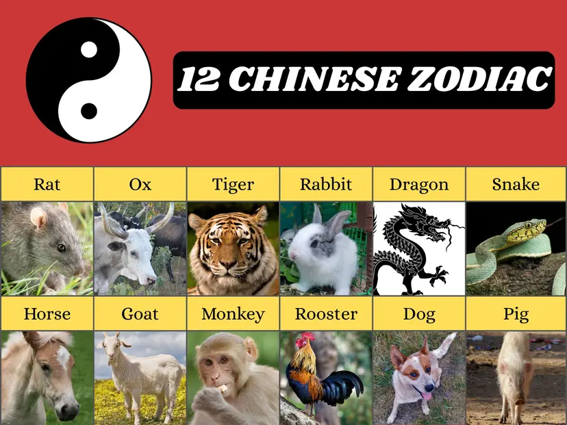 Chinese zodiac represented by the twelve animal signs arranged around a traditional circular design