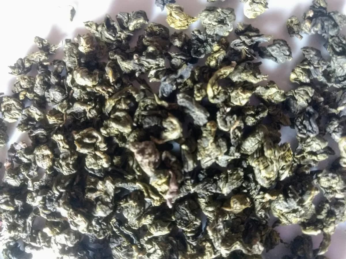 Tieguanyin tea guide showing the compact rolled leaf form associated with this Chinese oolong