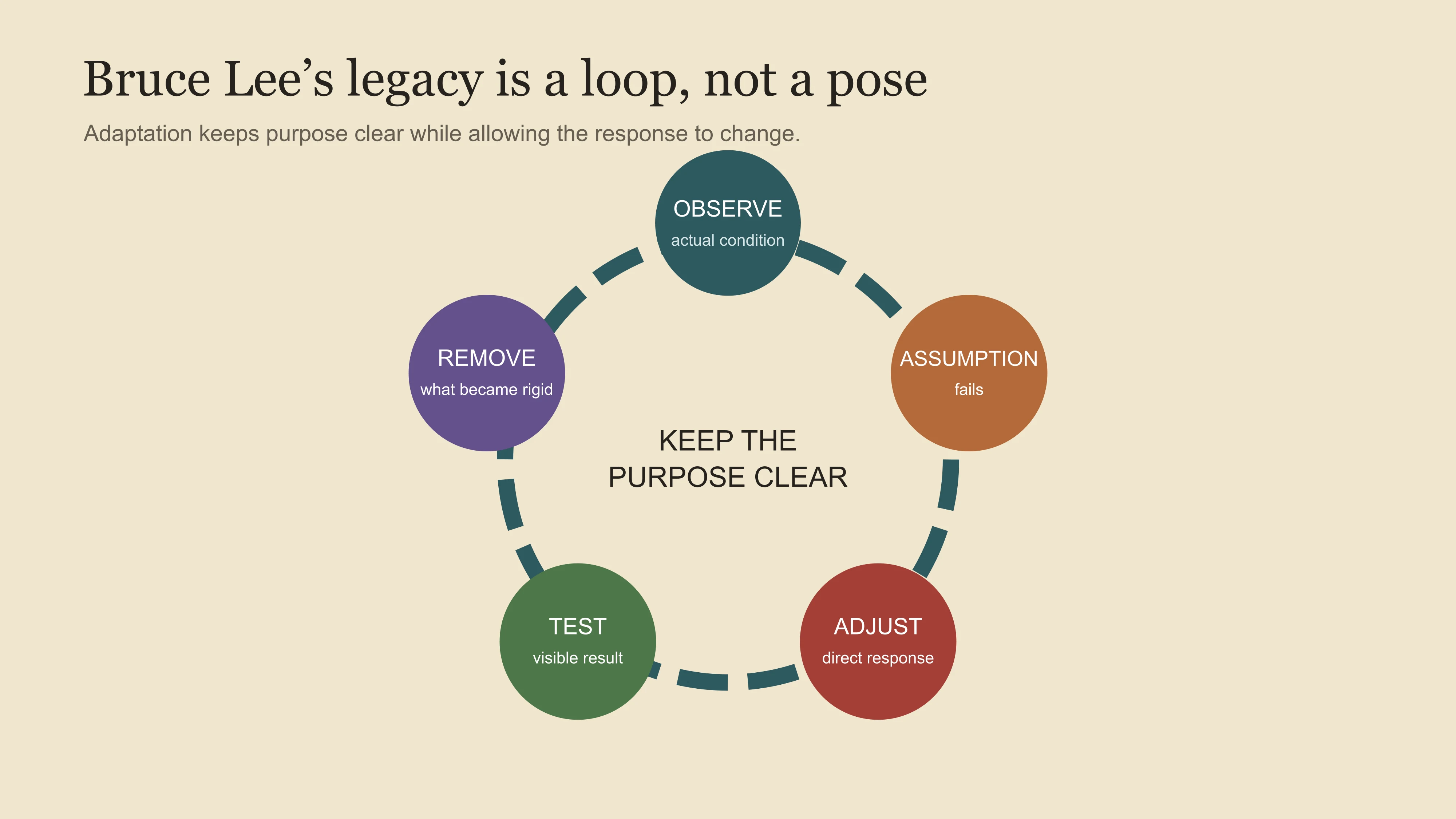 A Bruce Lee adaptation loop moving from observation through failed assumption, direct adjustment, tested result and renewed observation