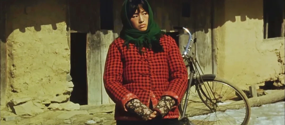 Gong Li as Qiu Ju in a red checked jacket and green headscarf, standing beside a bicycle outside a rural home