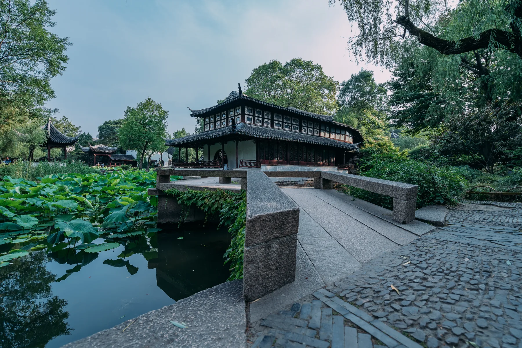 Chinese garden architecture at the Humble Administrator's Garden in Suzhou with a waterside hall, stone bridge, lotus pond and framed paths