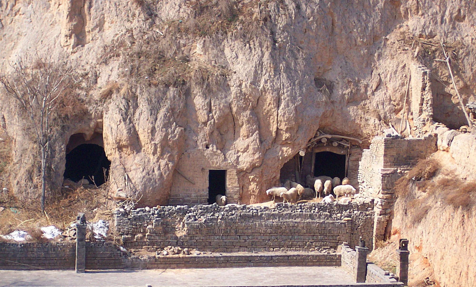 Cliffside yaodong cave houses and barns cut into loess near the Wang Family Grand Courtyard in Shanxi