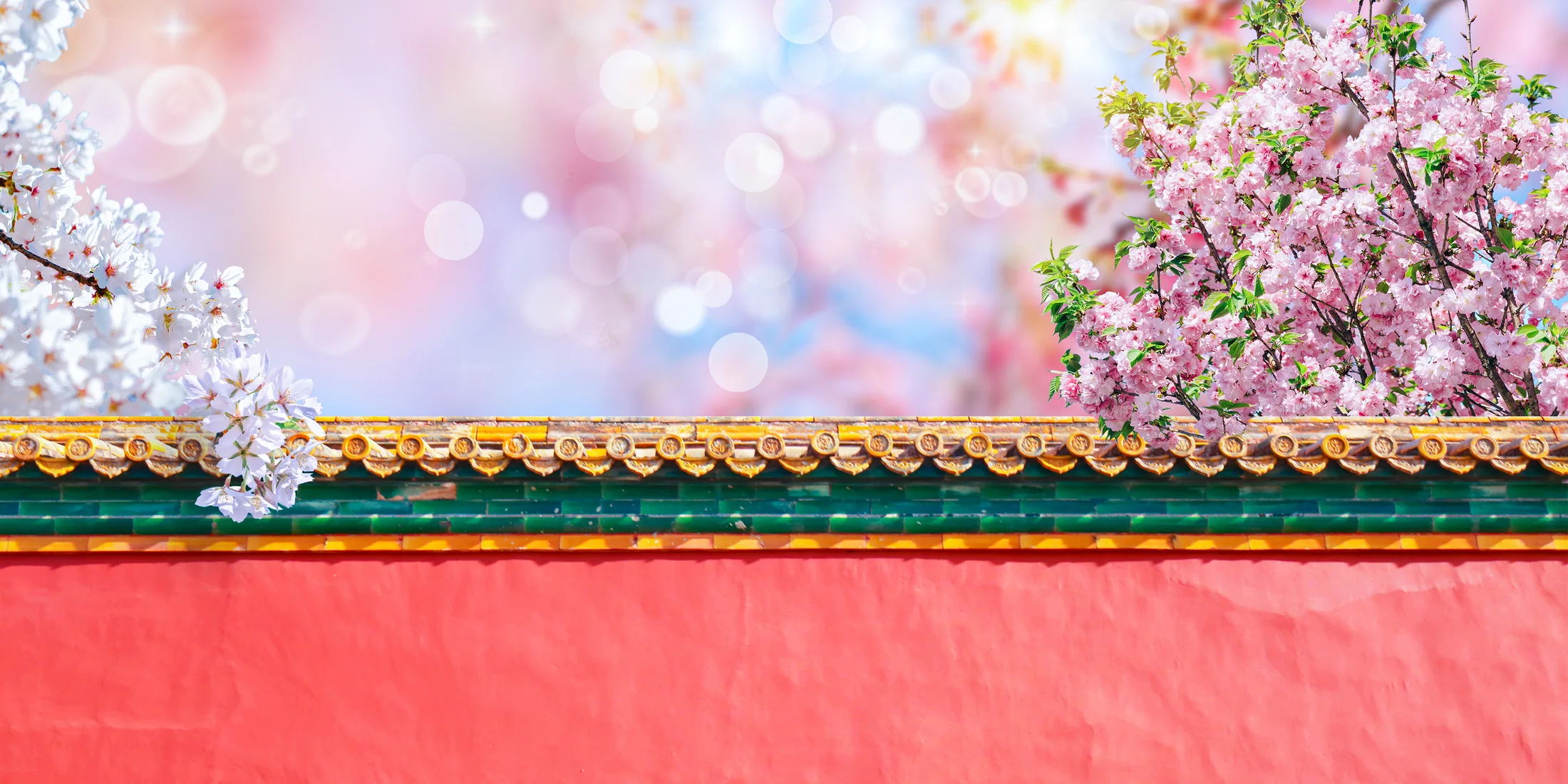 Spring blossoms above a red wall and glazed roof inside Beijing's Forbidden City