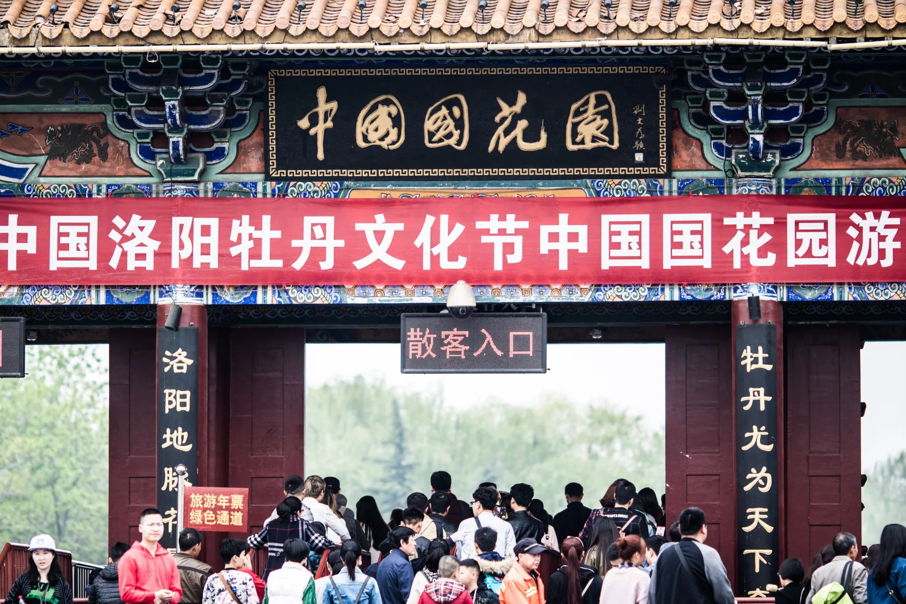 Visitors entering a Luoyang peony garden during the busy flowering season