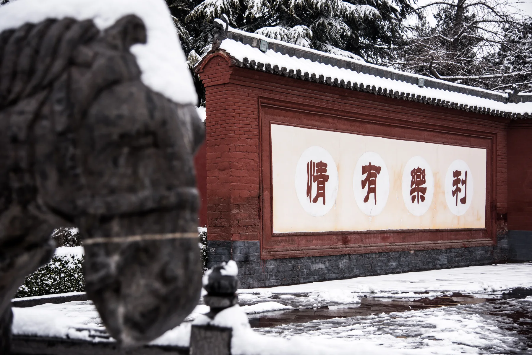 White Horse Temple entrance in snow, with the white horse statues visible beside the approach
