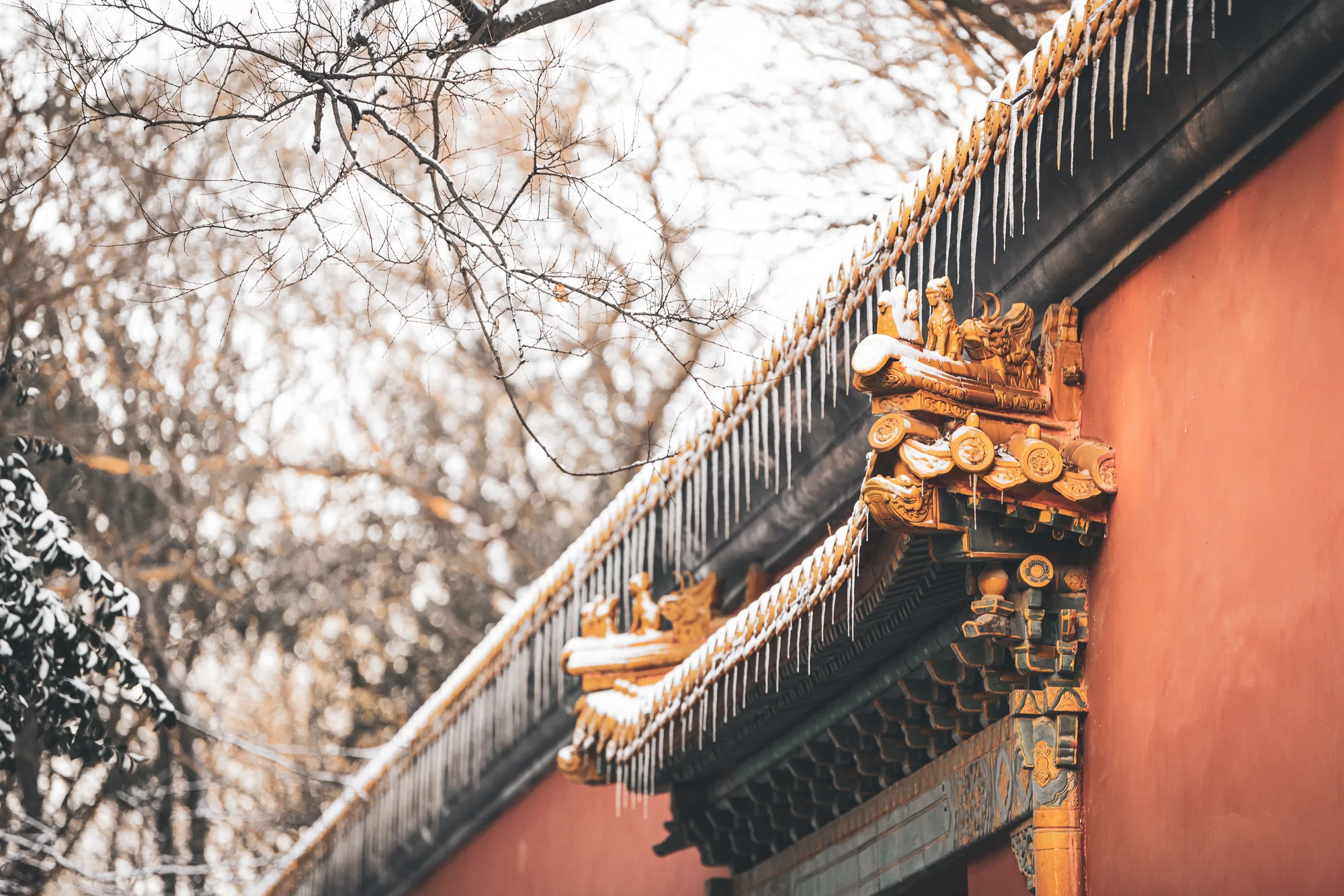 A long red wall running through the wooded Ming Xiaoling mausoleum landscape