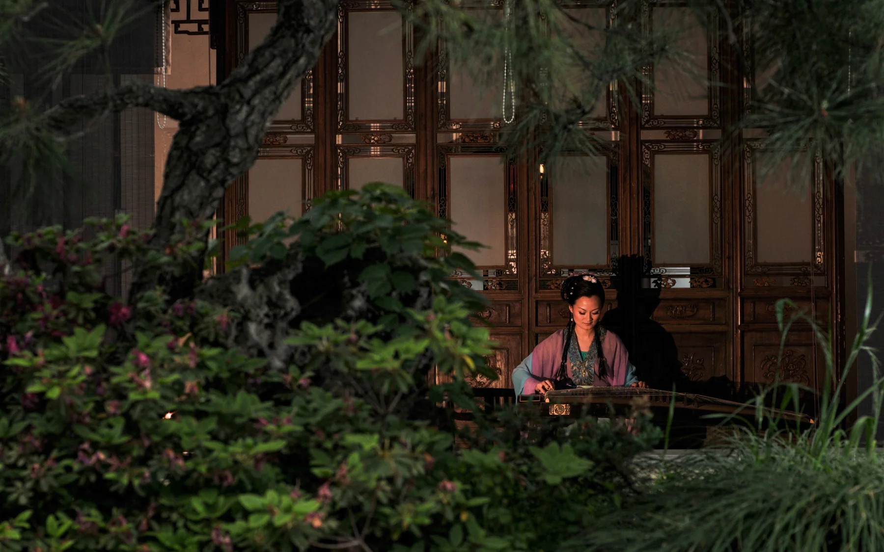 A musician performing inside a Suzhou garden, showing how sound, architecture and planted space work together