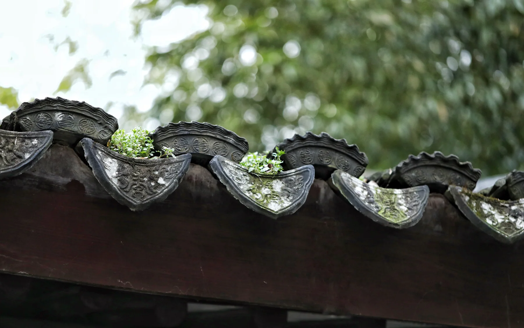 A Suzhou roof-tile detail keeping craft labor visible at the scale of a single architectural object