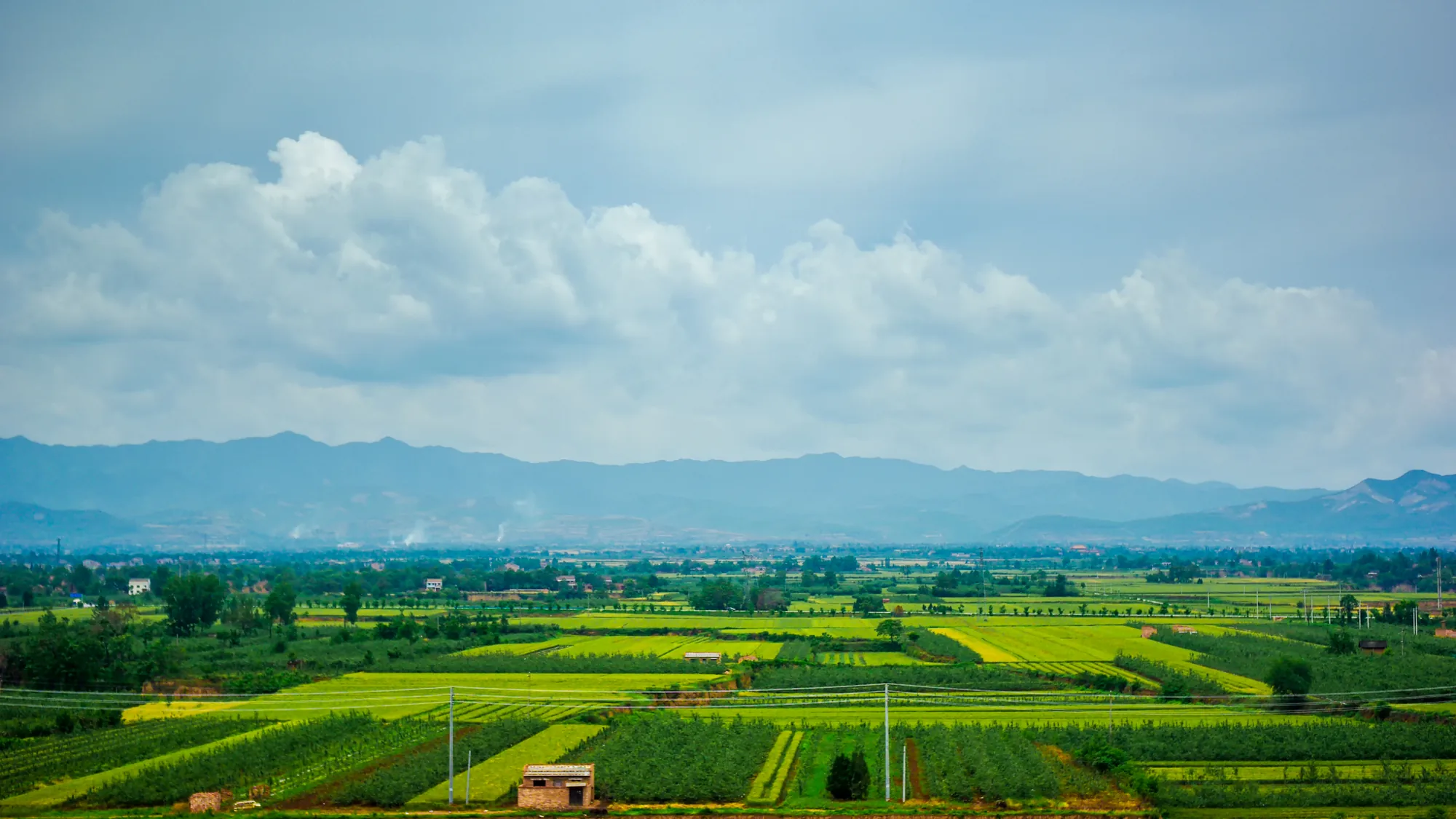 Fields and low hills in the Guanzhong countryside outside central Xi'an