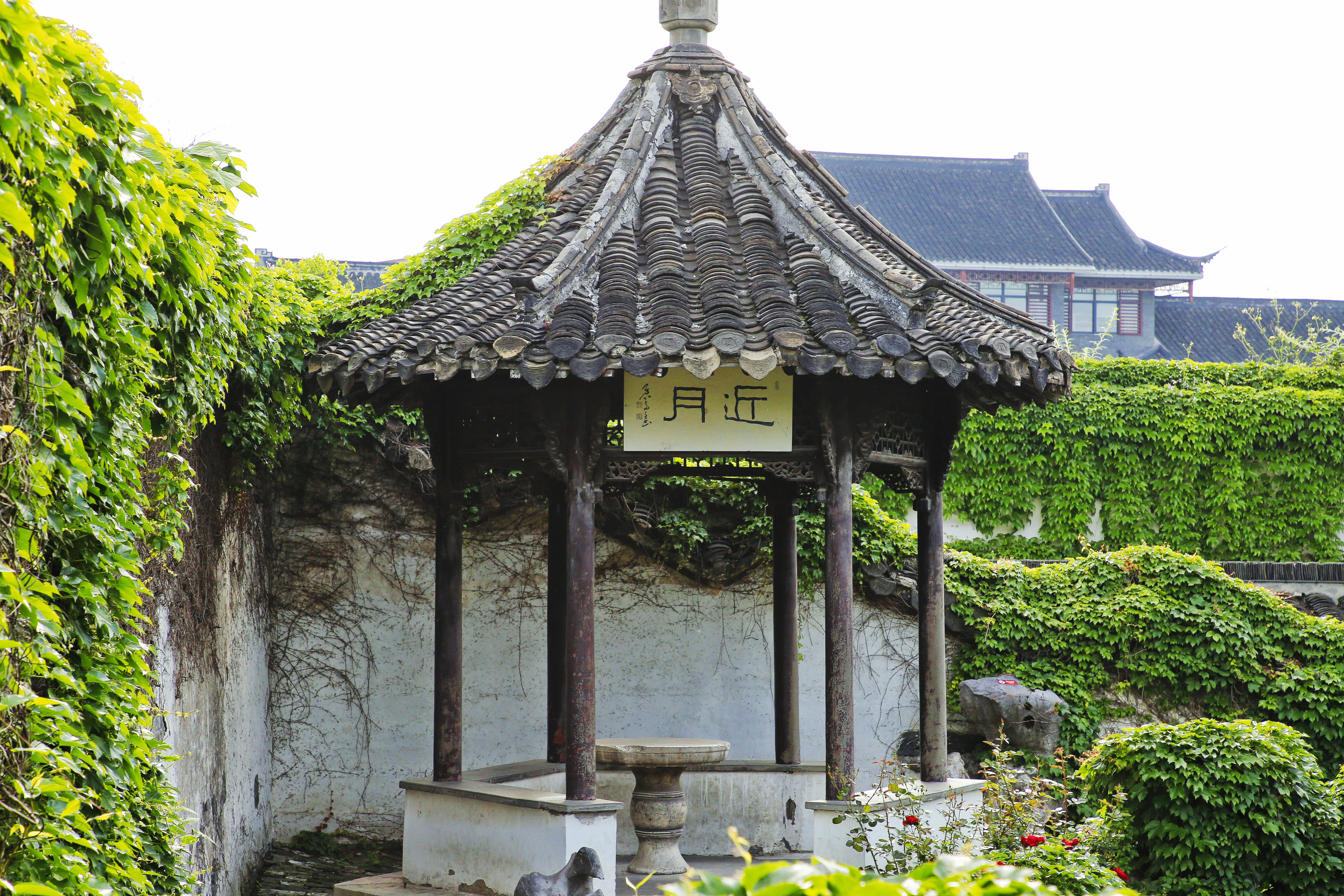 A tiled pavilion surrounded by climbing greenery in He Garden