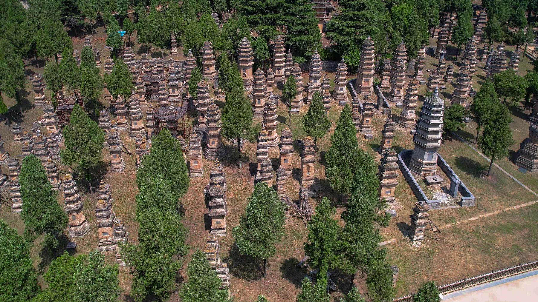 Aerial view of the dense Shaolin Pagoda Forest
