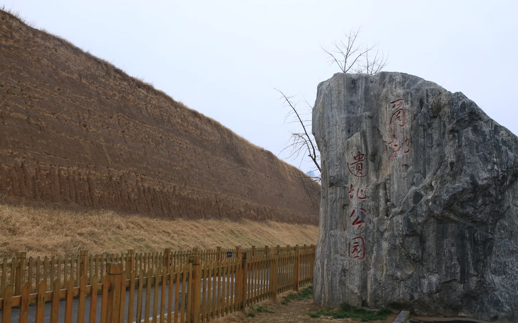 Close view of the rammed-earth fabric at Zhengzhou's Shang city site