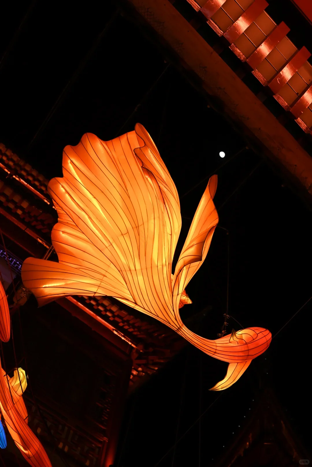 Close view of layered fish lanterns showing painted scales, fins and changing light