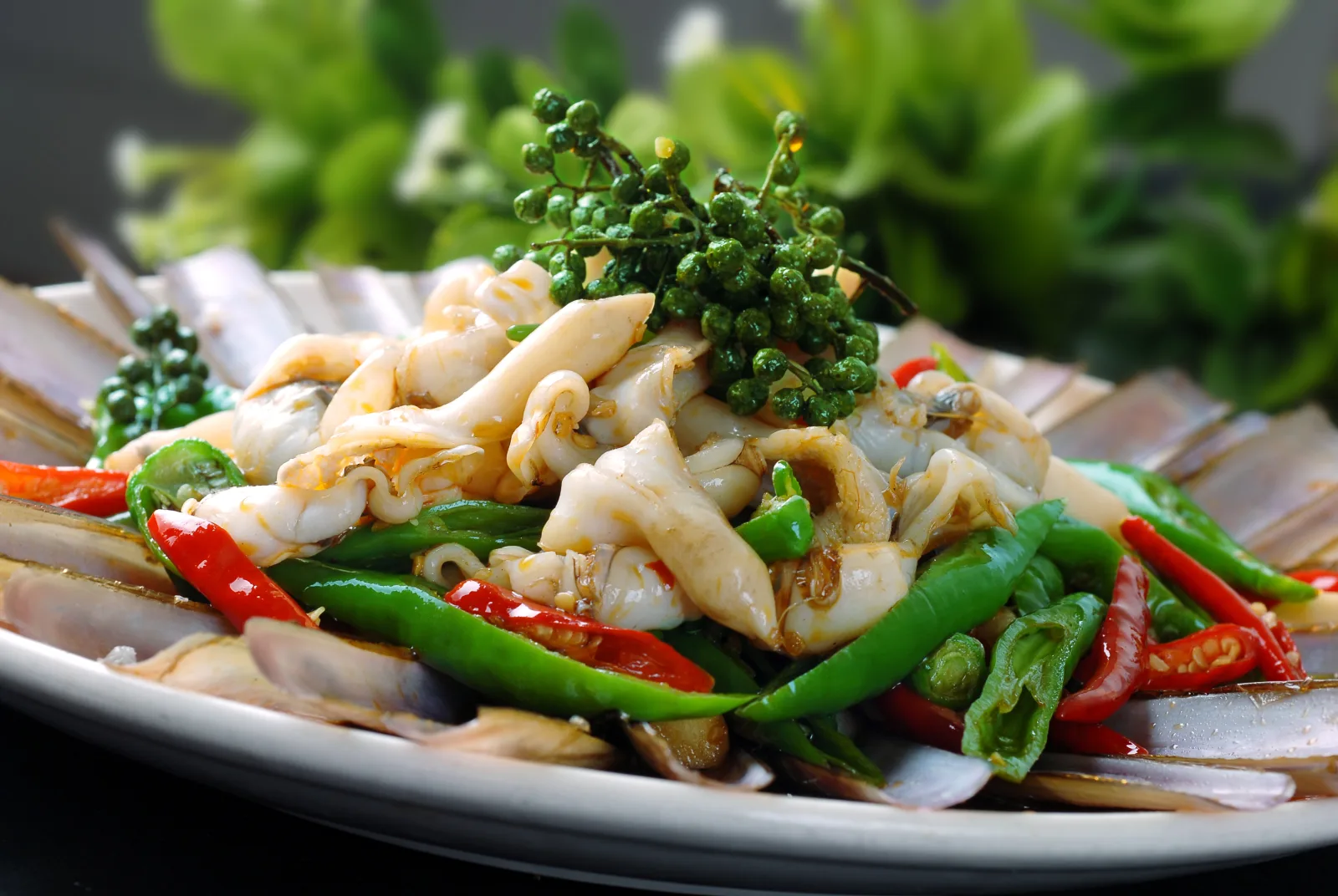 Fujian coastal seafood stir-fry with squid, shellfish, fresh chilies and peppercorn sprigs