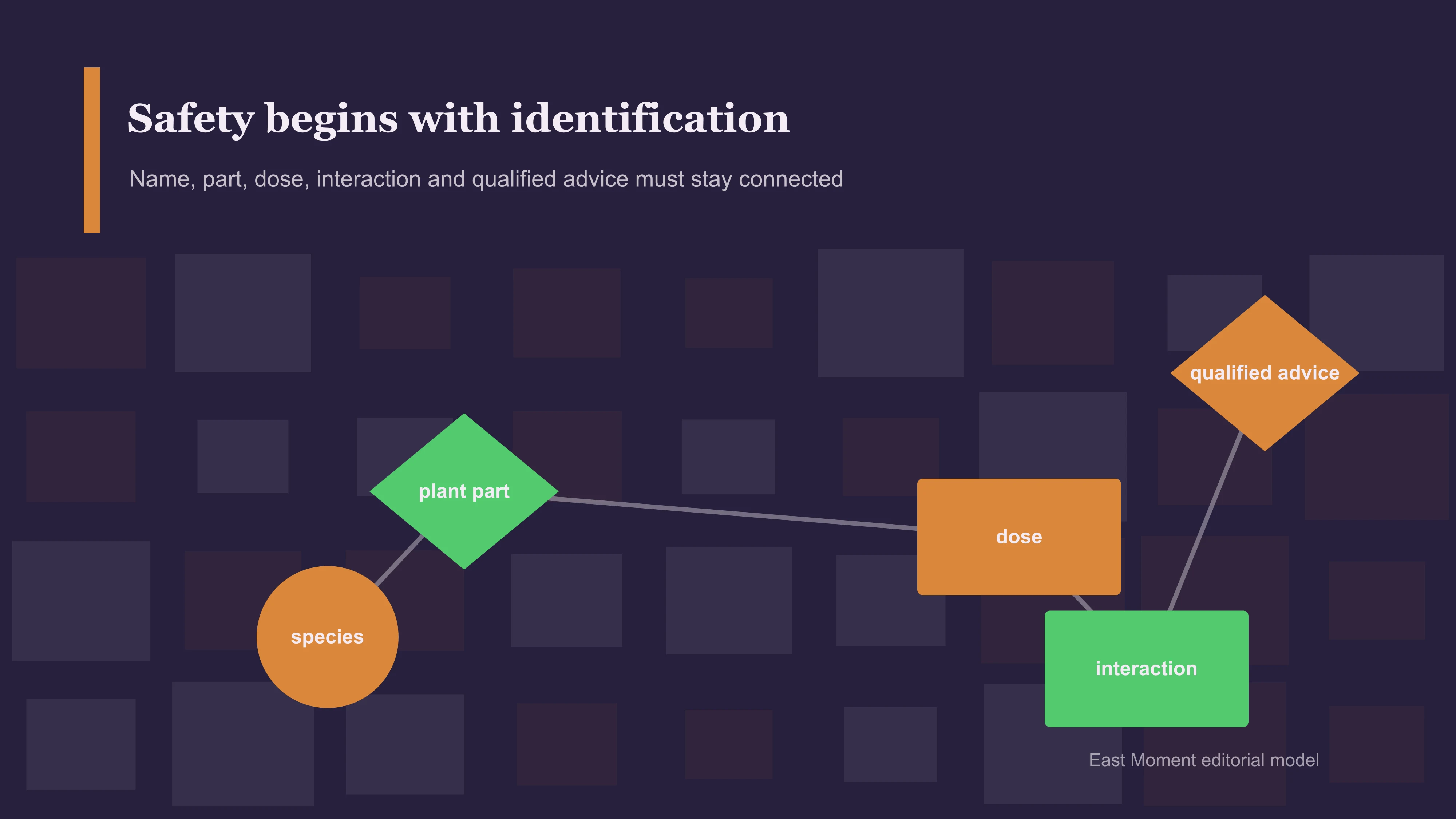 Safety begins with identification. Name, part, dose, interaction and qualified advice must stay connected.