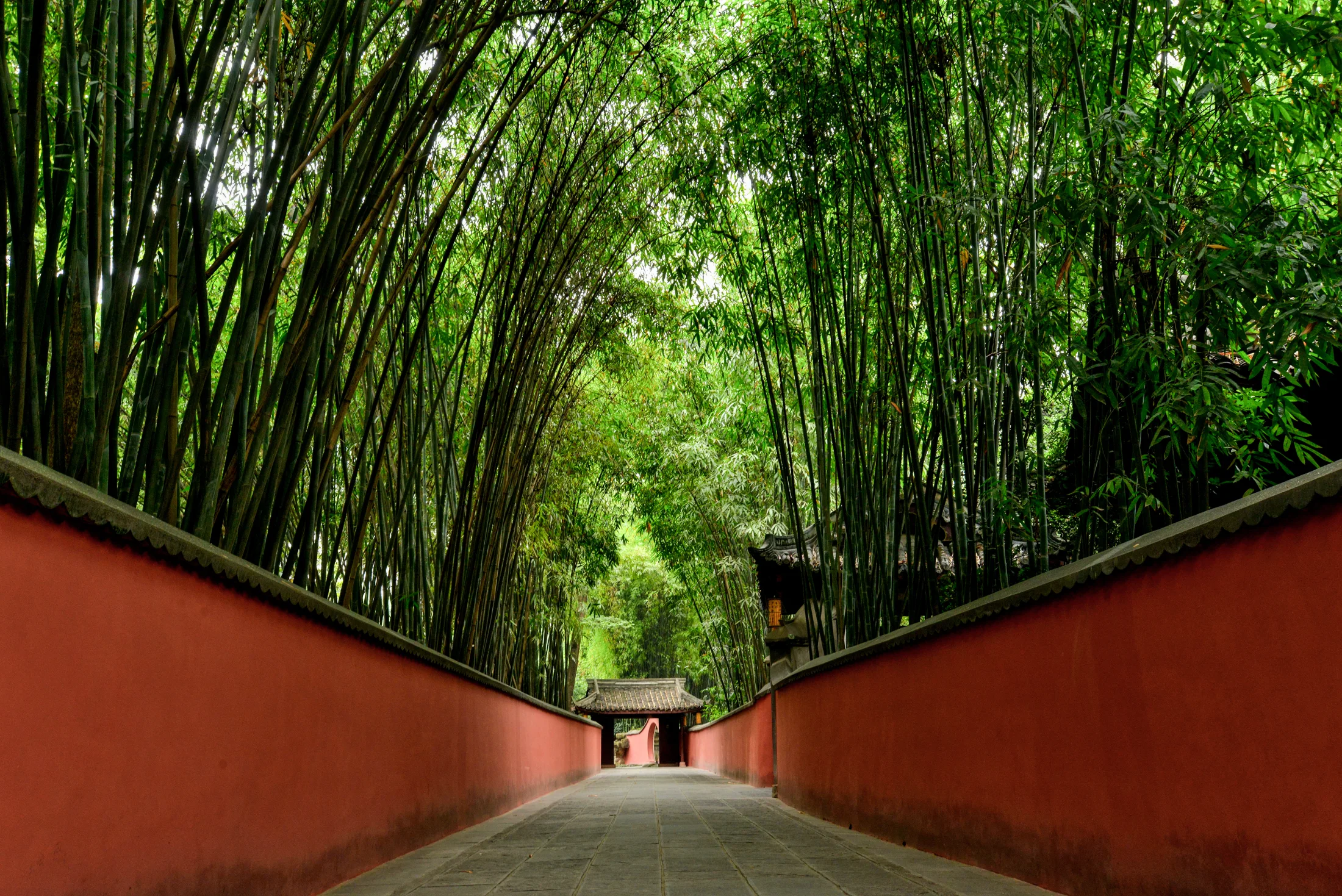 Most famous Chinese poems location context: a colorful bamboo corridor at Du Fu Cottage in Chengdu