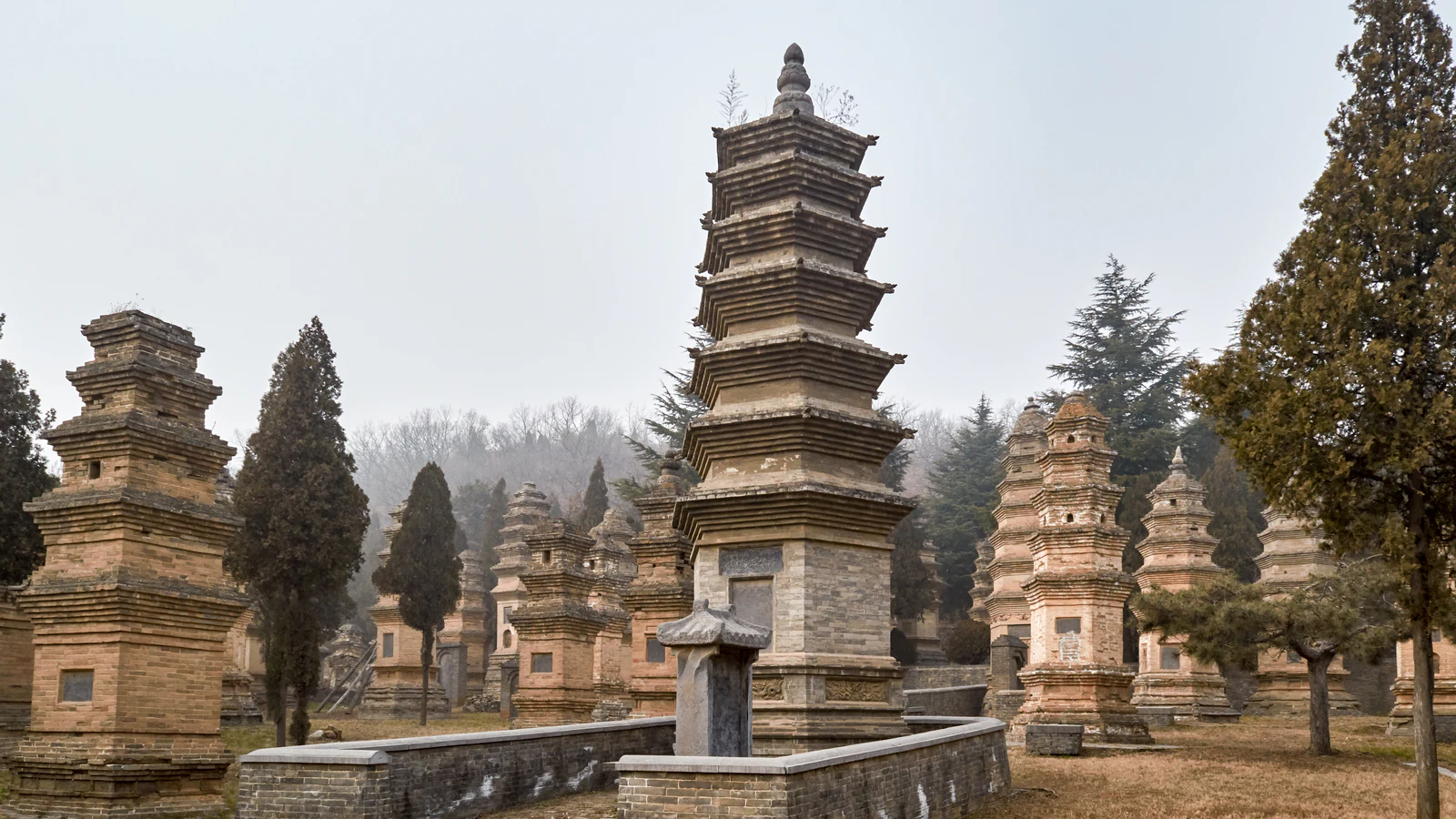 Shaolin Temple Pagoda Forest as material evidence of a long institutional history