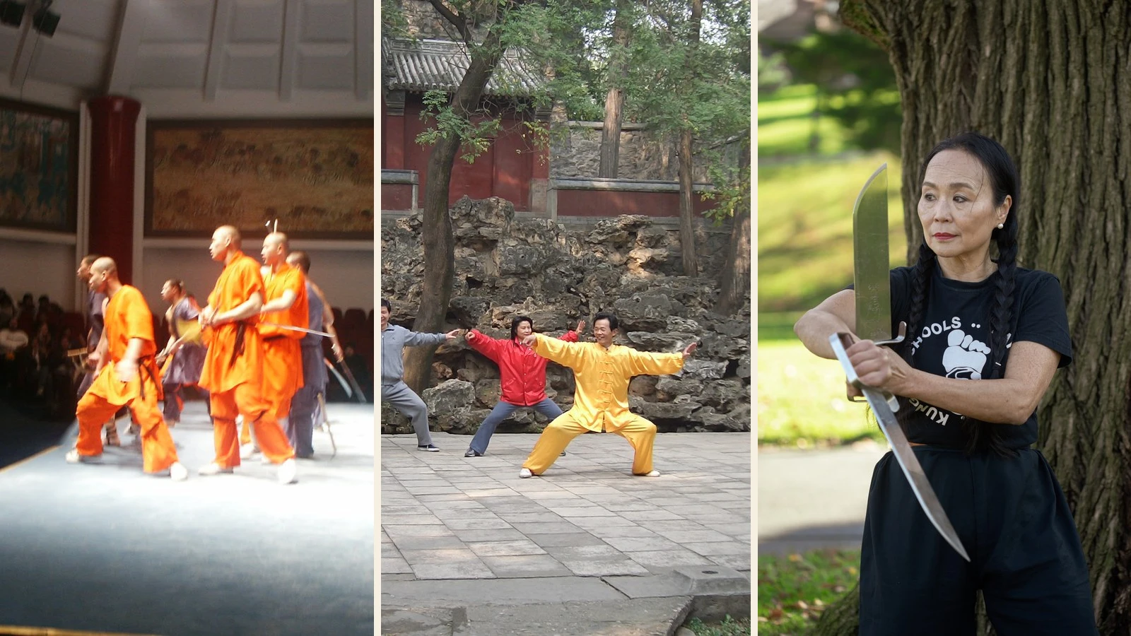 Three lived martial-arts settings showing performance, outdoor practice and weapon training around the wider wushu field
