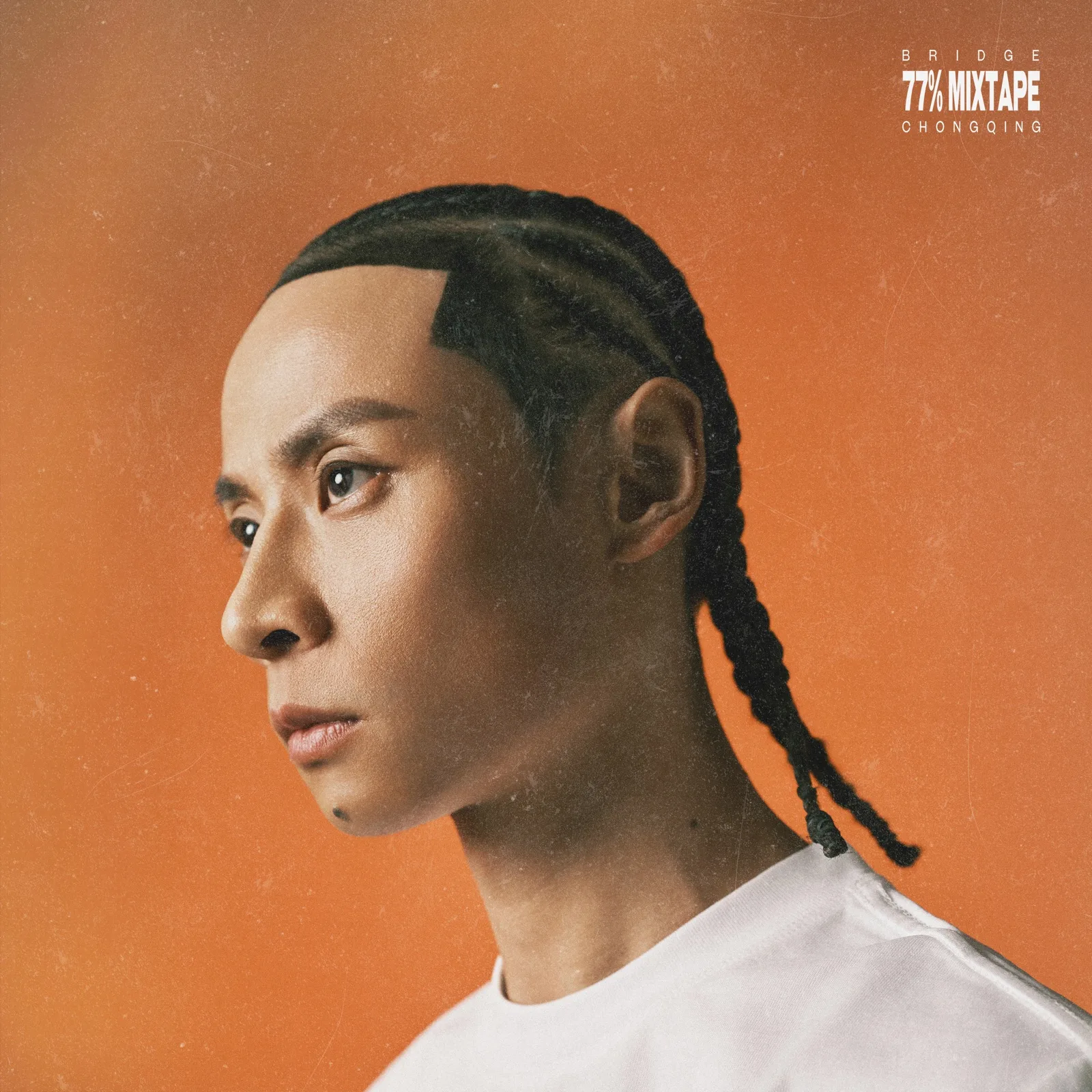 Bridge 77 percent album cover