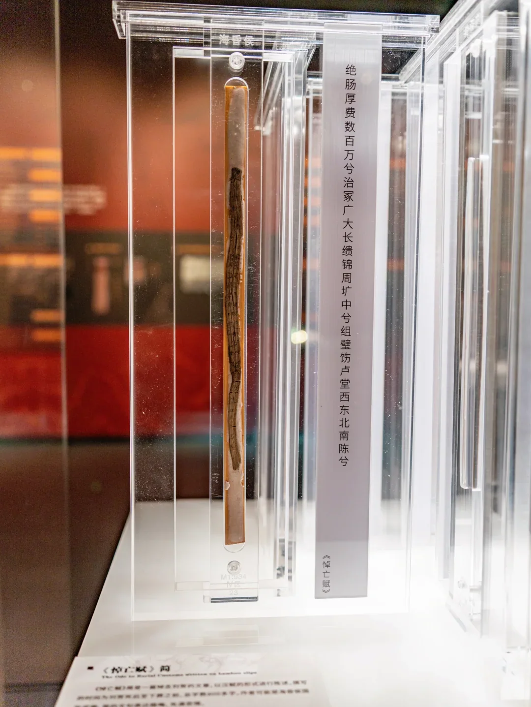 Several excavated Analects-related bamboo strips displayed in individual transparent conservation cases