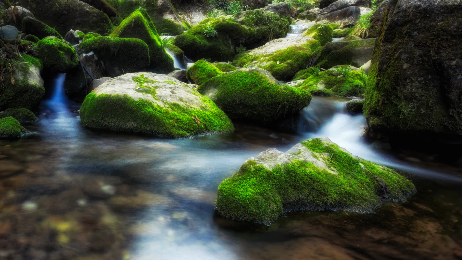 Qingcheng Mountain stream moving around moss-covered rocks instead of through them