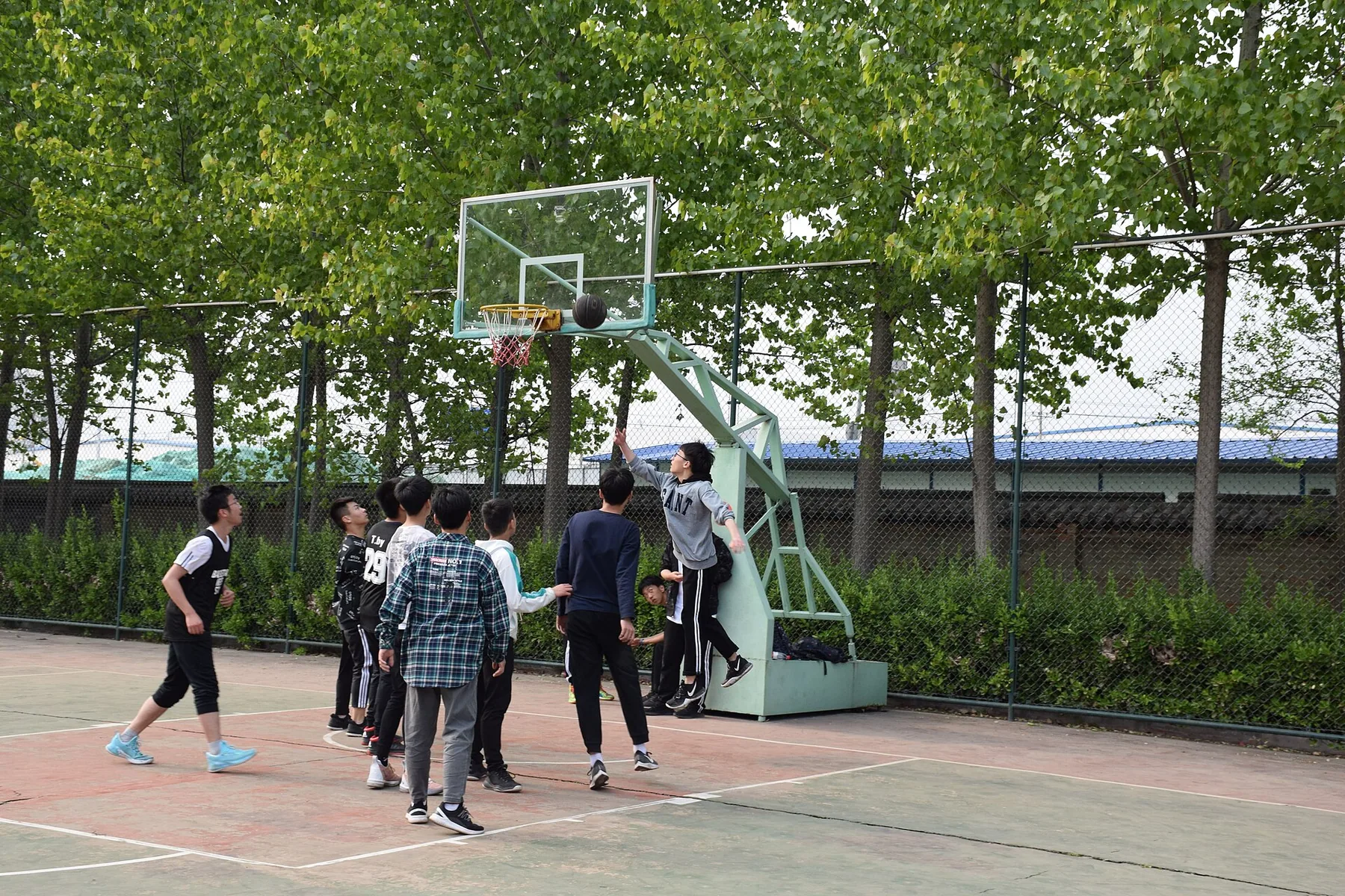 Students gather under a hoop as one player reaches toward the ball on a Luohe high-school court