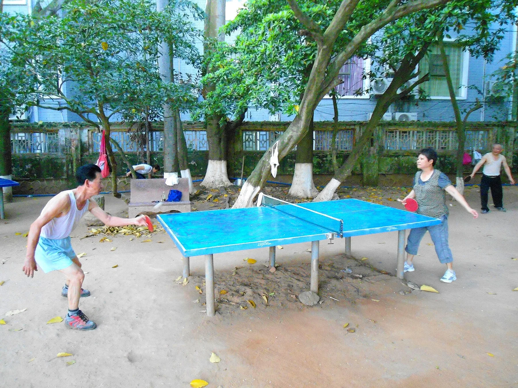 Two adults leaning into a table-tennis rally at a fixed outdoor table in Haikou People's Park