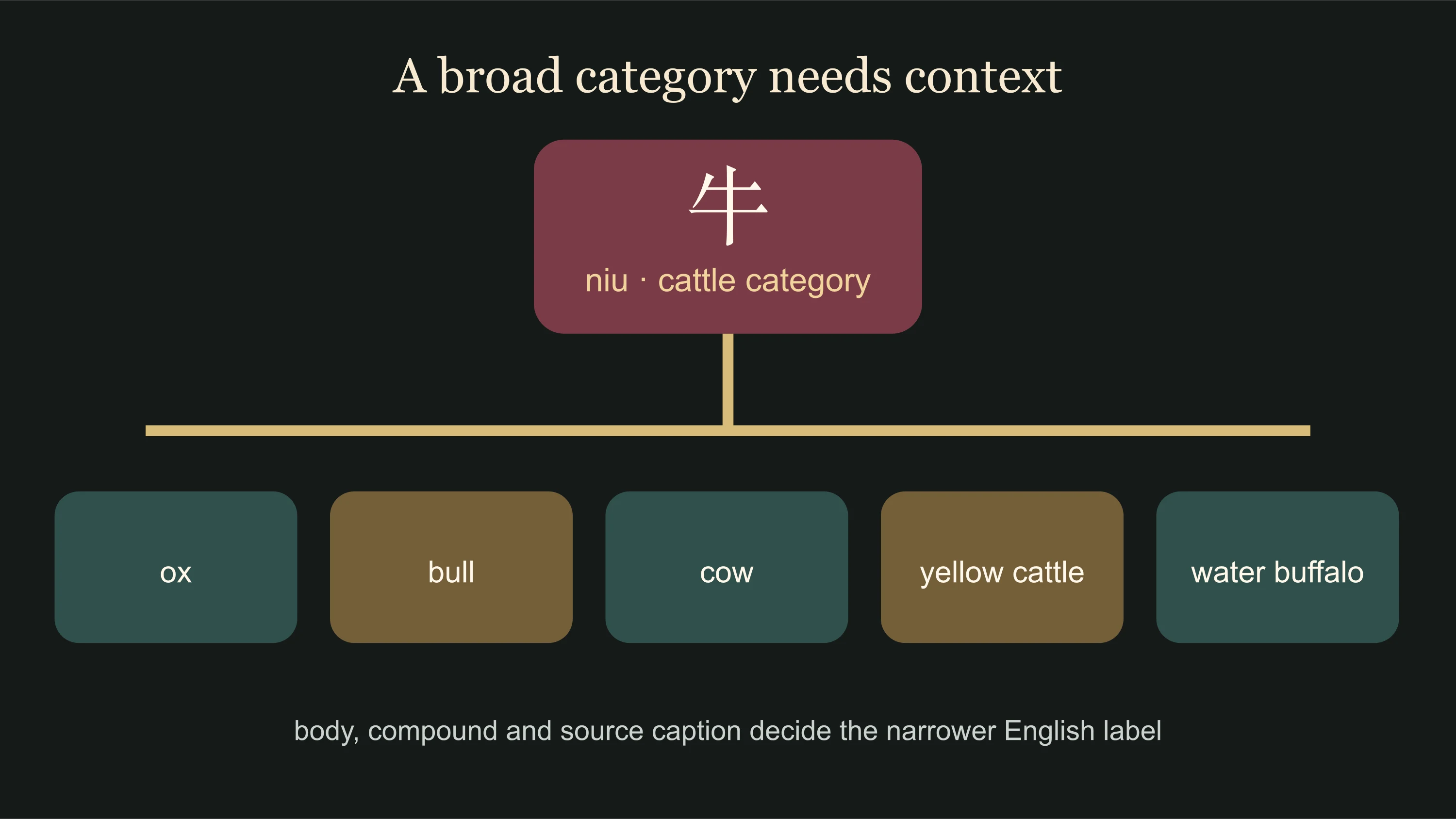 Broad niu cattle category narrowing into ox, bull, cow, yellow cattle and water buffalo through context