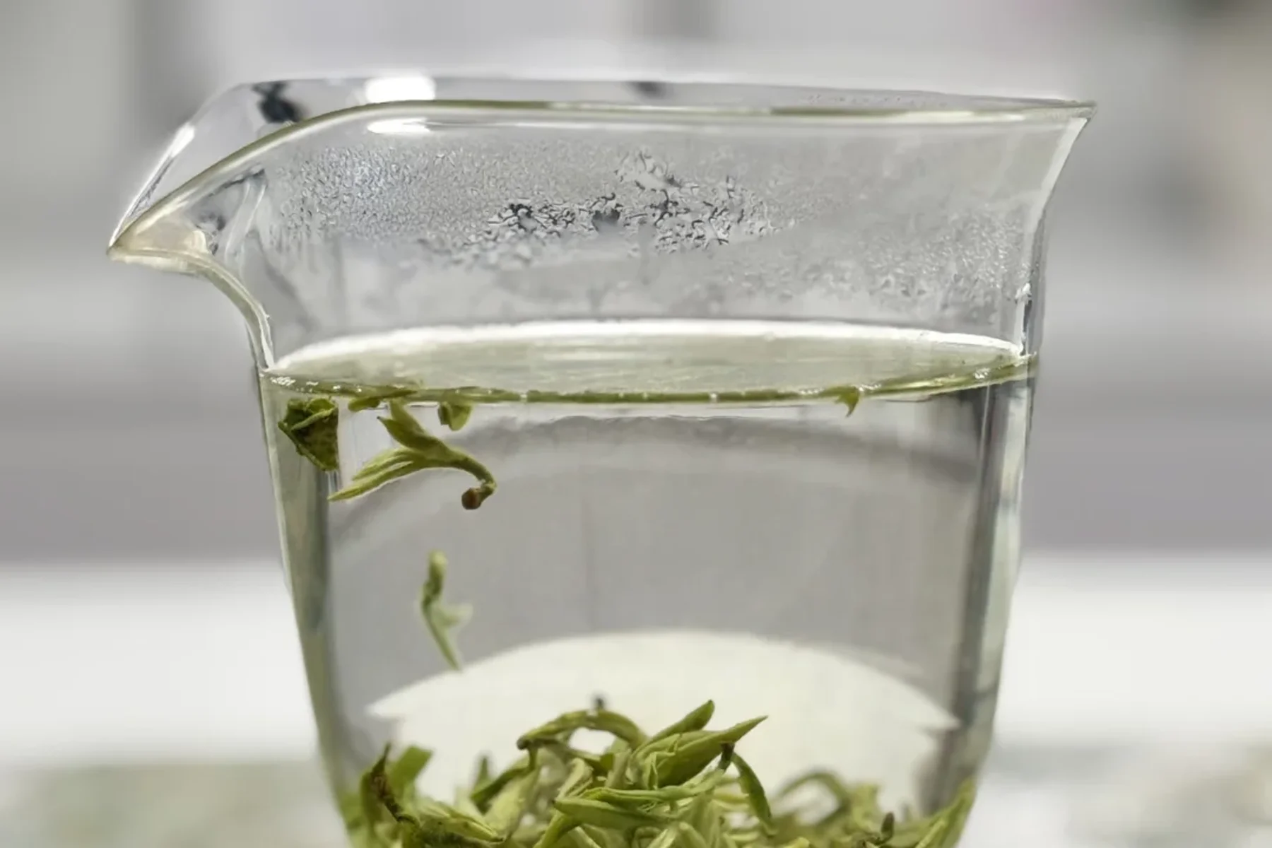 One retail Biluochun sample opening in a clear glass, useful for observing movement and suspension but not for identifying origin