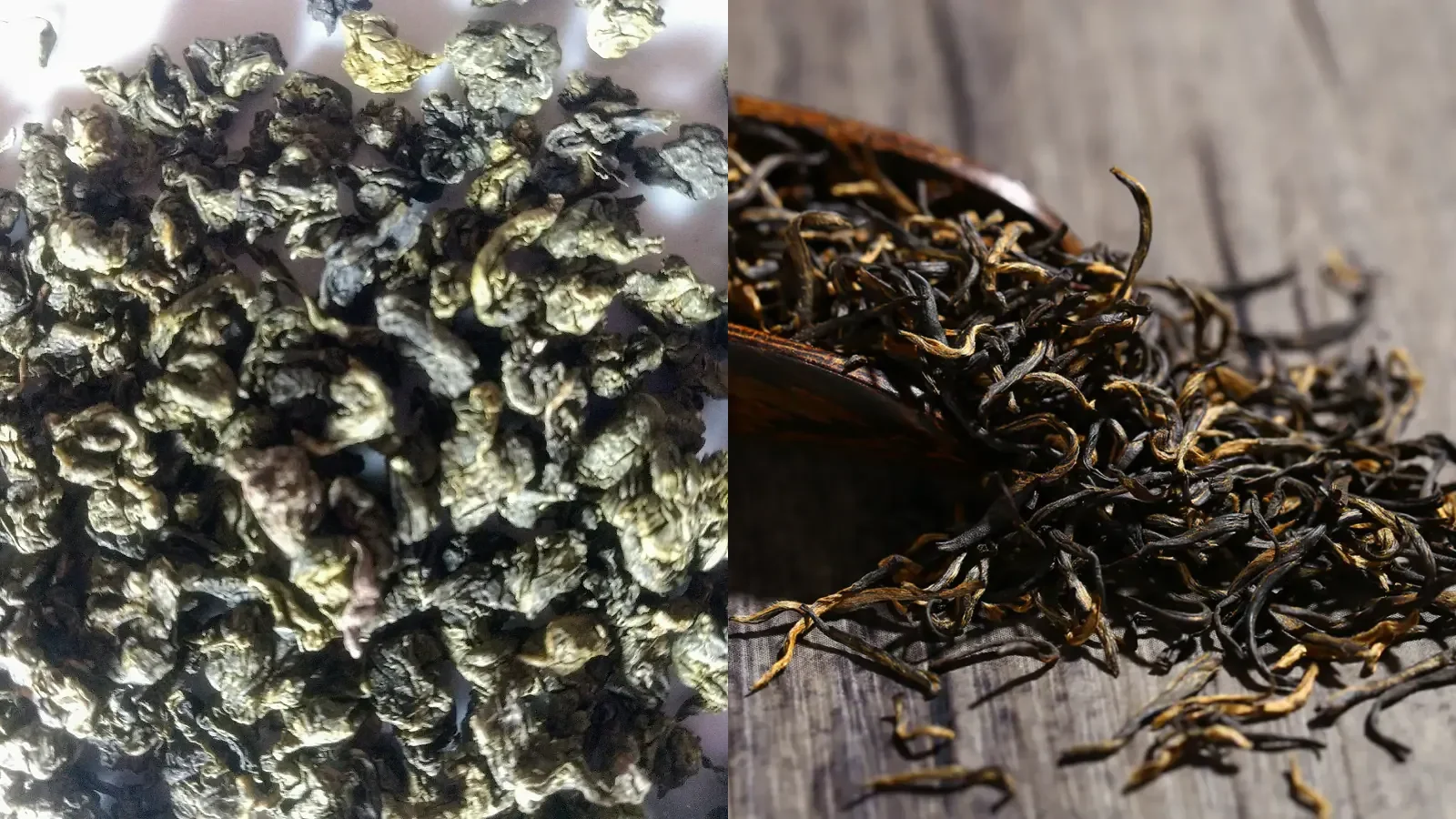 Compact rolled Chinese oolong leaf beside long twisted oolong leaf for a practical form comparison
