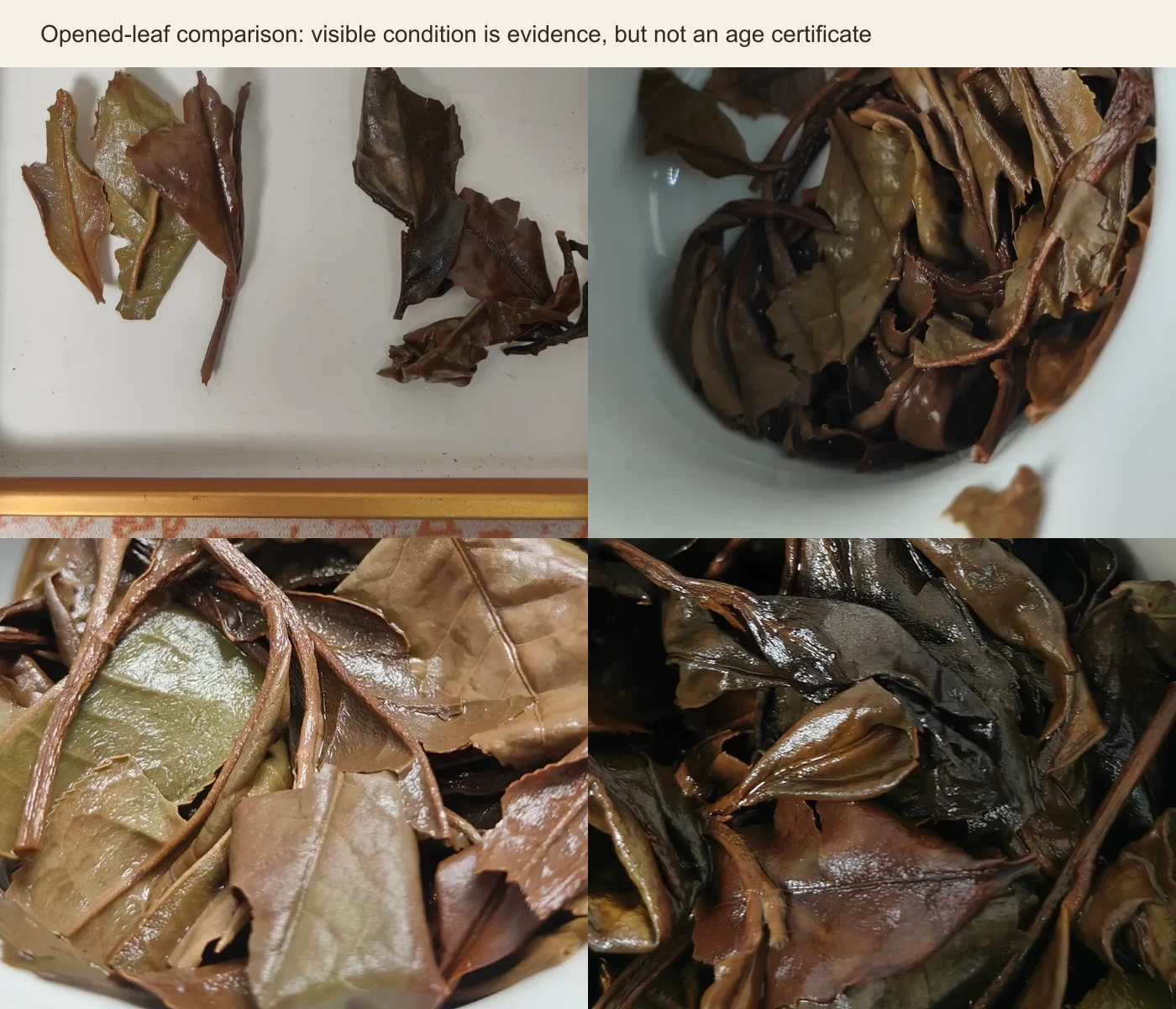 Four real opened-leaf views used to compare visible condition without treating color as an age certificate