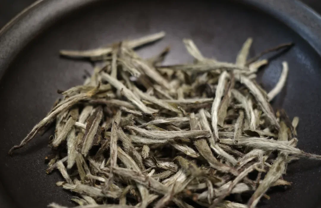 Close view of bud-dominant white tea showing the fine hairs and intact shoot shapes associated with Silver Needle material