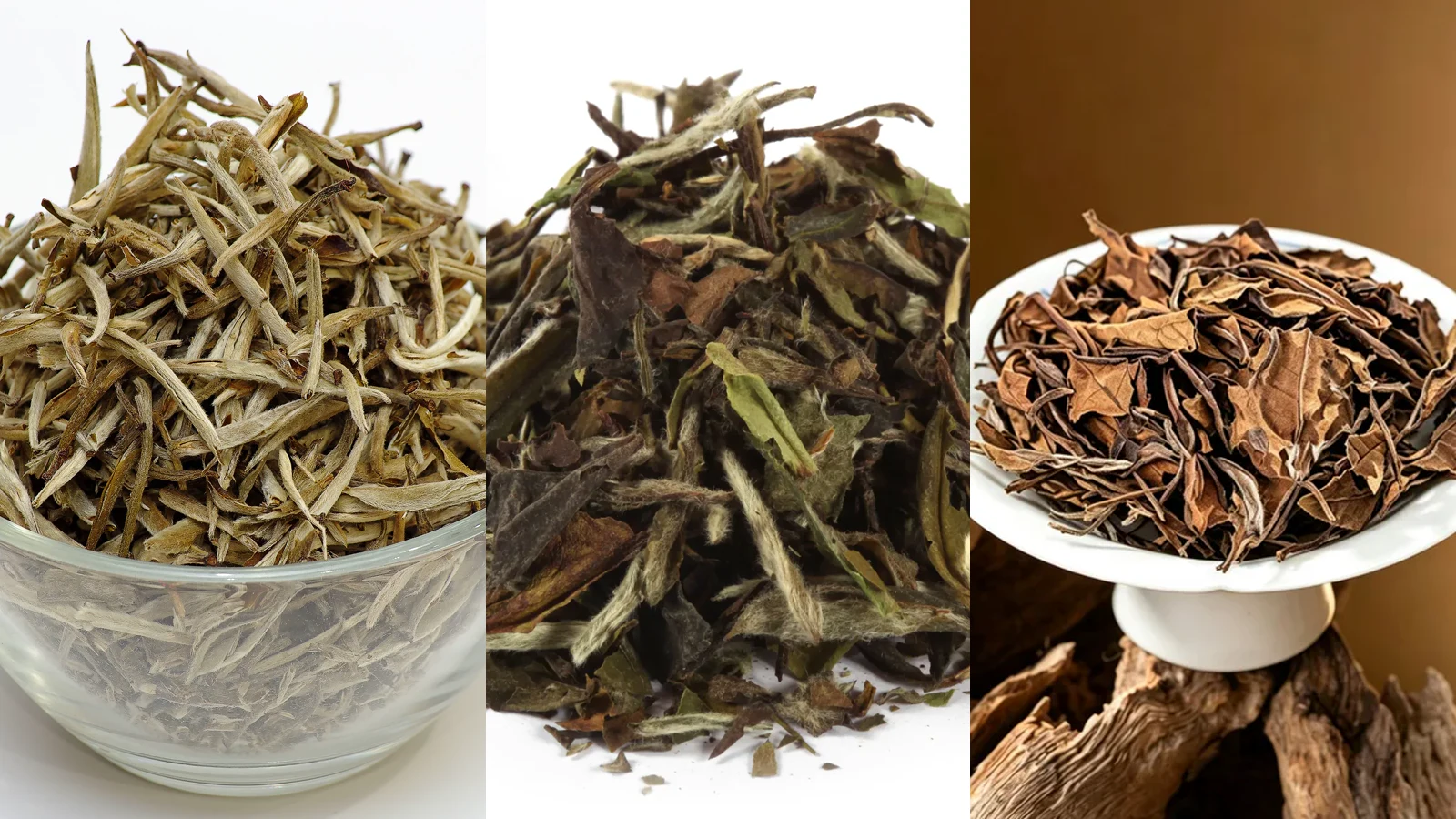 Three photographic panels comparing Silver Needle buds, White Peony bud-and-leaf material and mature Shou Mei leaves