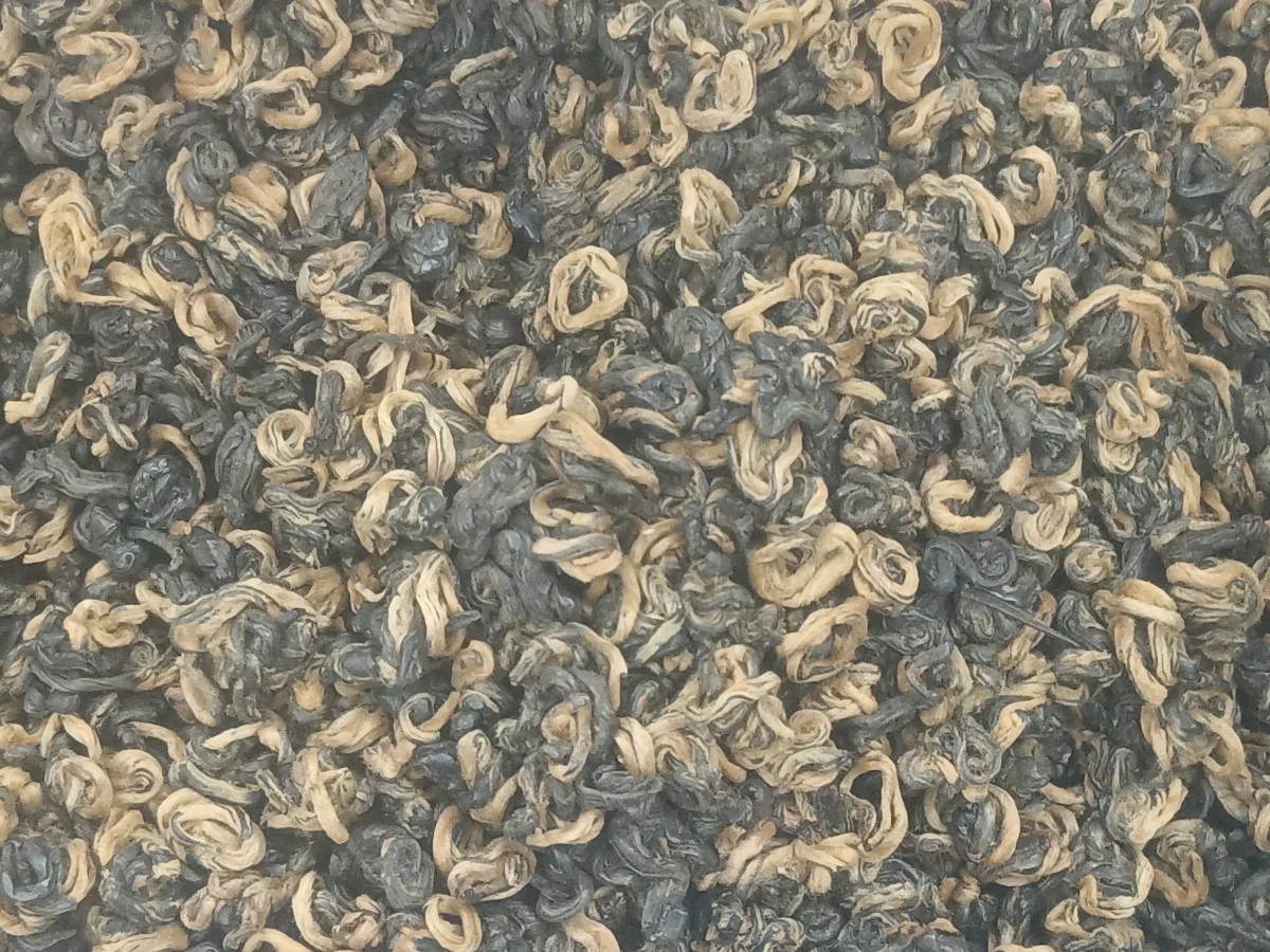 Golden-tipped Dianhong leaves representing Chinese black tea