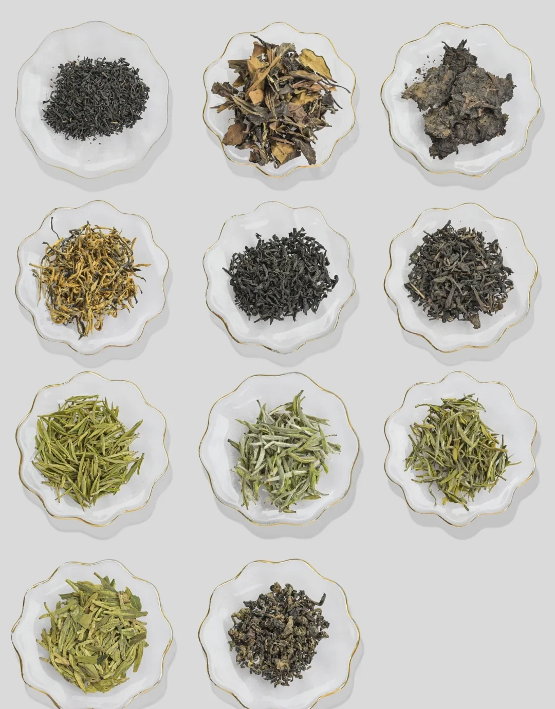 Eleven standard Chinese tea samples arranged in identical white dishes for a dry-leaf comparison