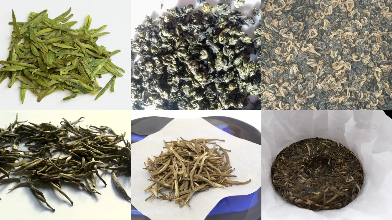 Six Chinese tea families presented together for a processing-first classification