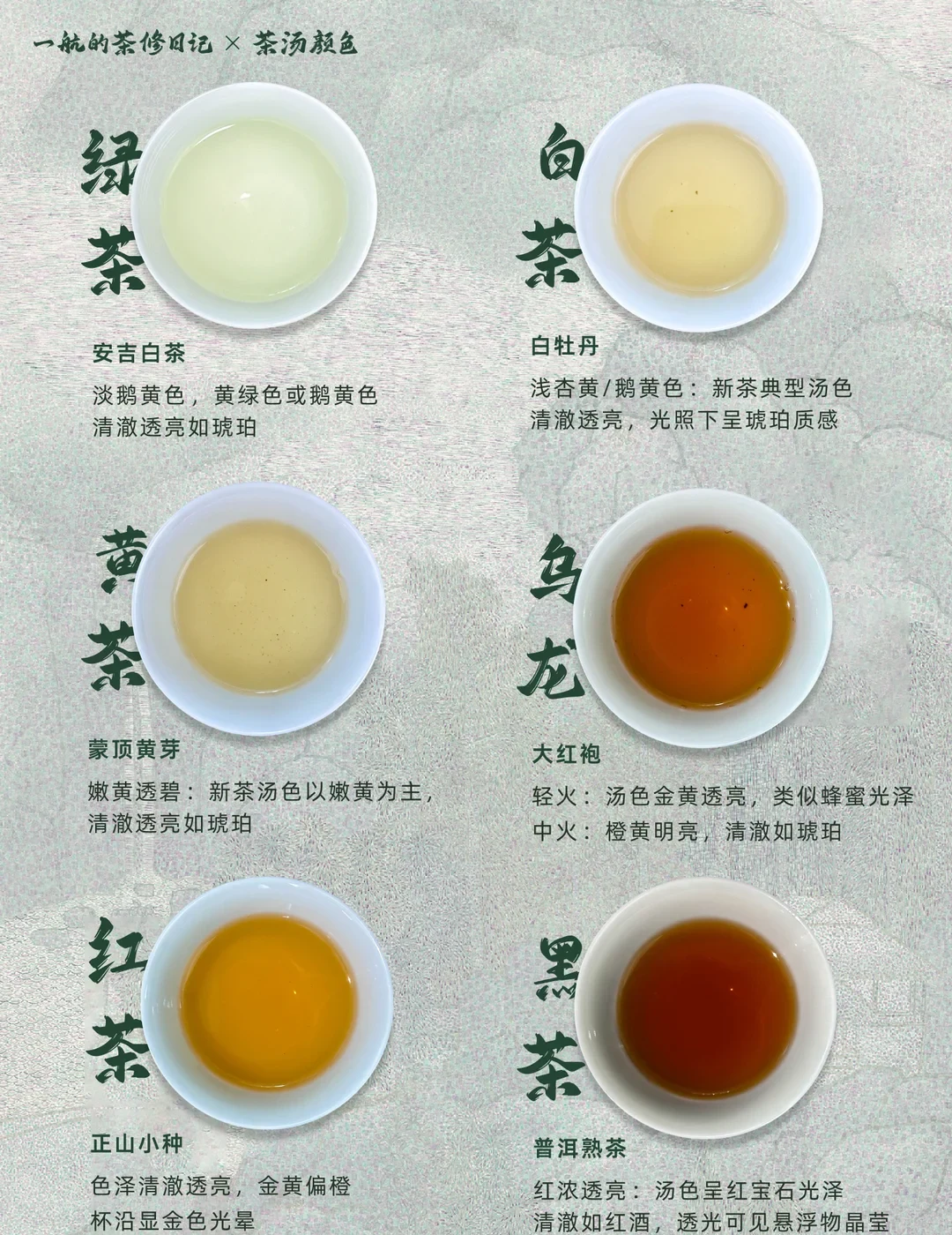Six bowls show green, white, yellow, oolong, black and dark tea liquors side by side