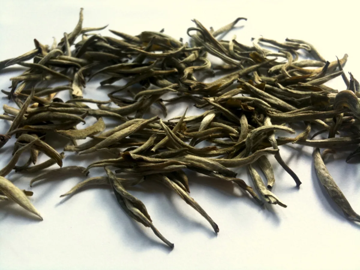Loose white tea leaves and pale liquor representing the Chinese white tea family