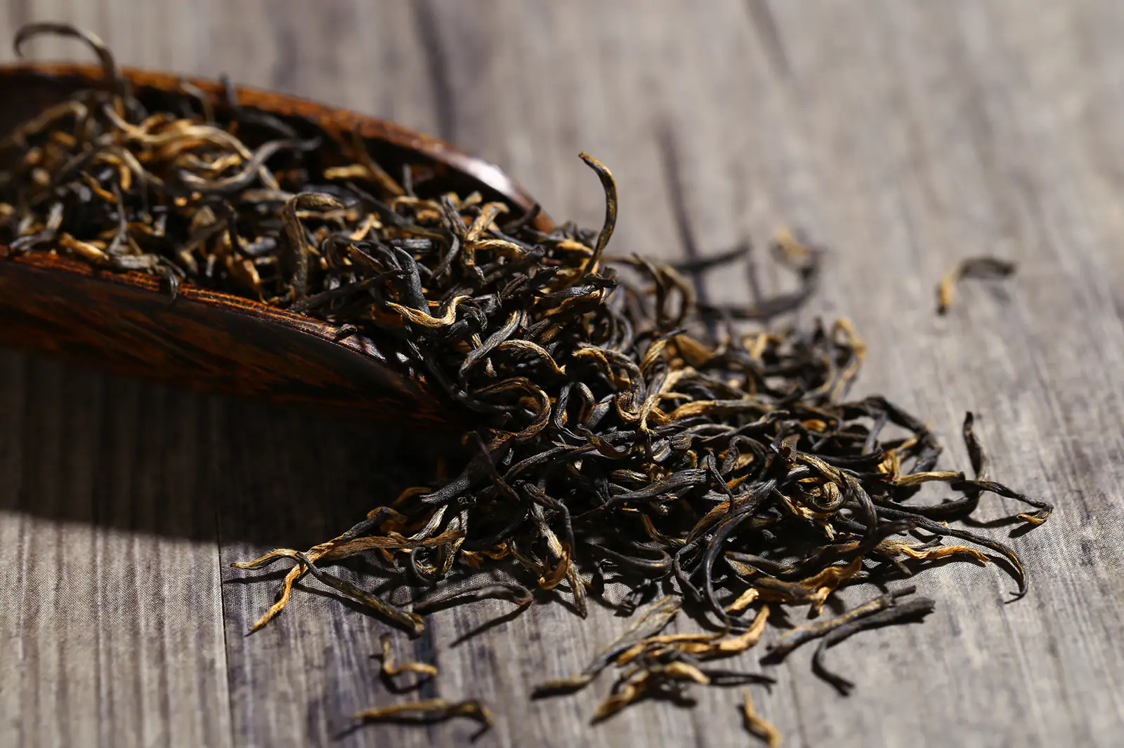 Dark twisted leaf shown close enough to inspect roast color and physical integrity