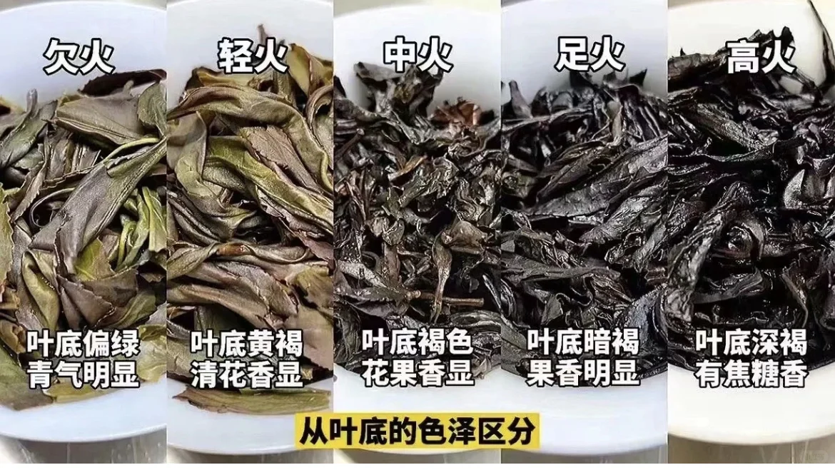 A five-stage comparison labeling spent-leaf appearances from under-fired to high-fire Wuyi rock tea