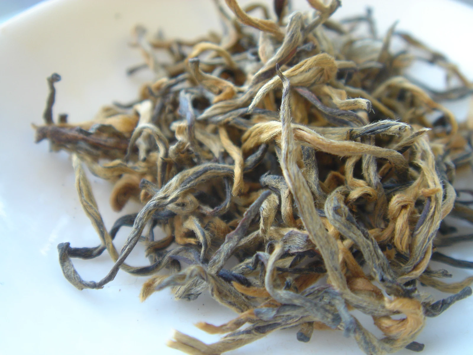 Close view of a documented 2007 spring golden-bud Dianhong black tea sample
