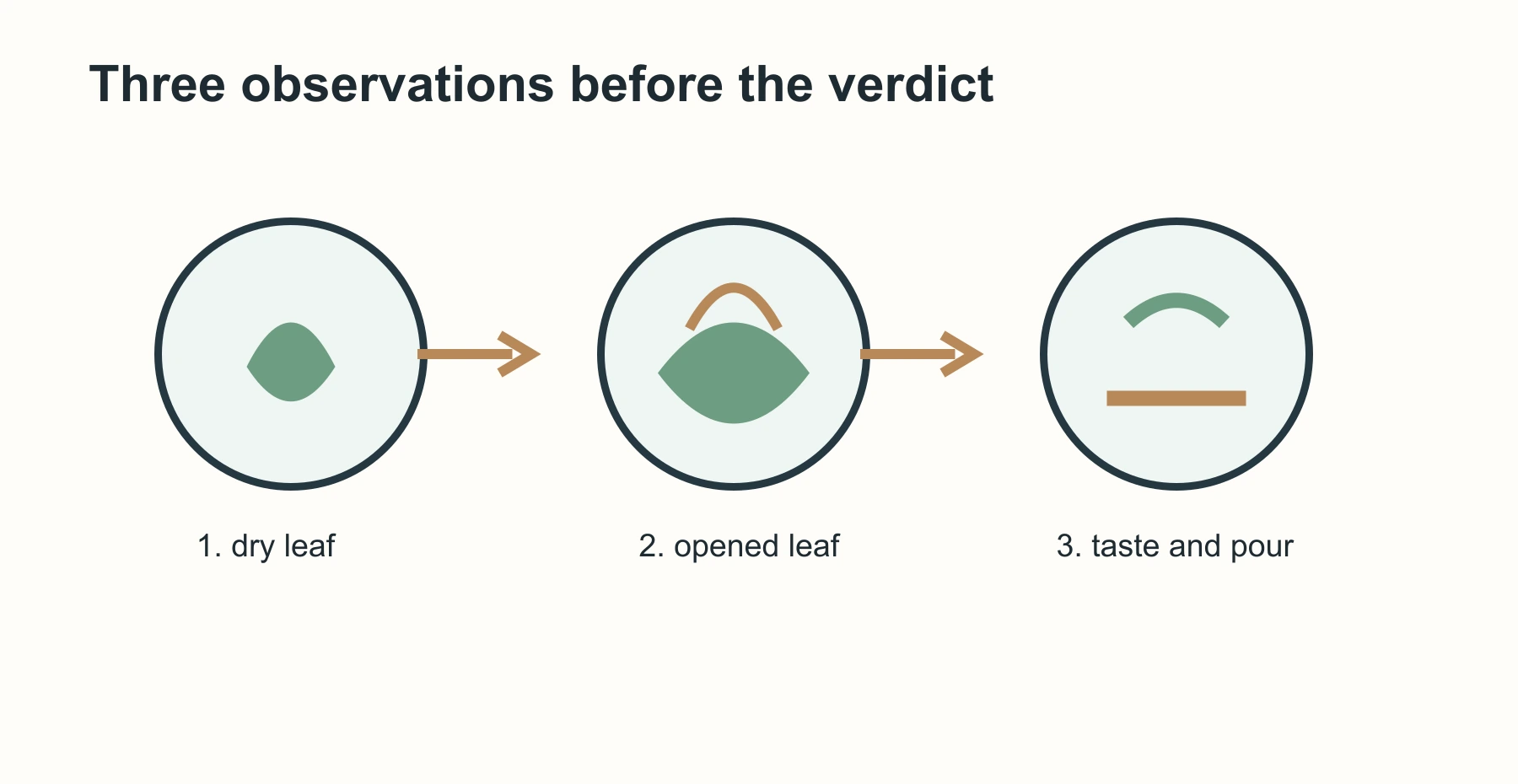 Three-stage glass teapot brew sequence from dry leaf to opened leaf to tasting