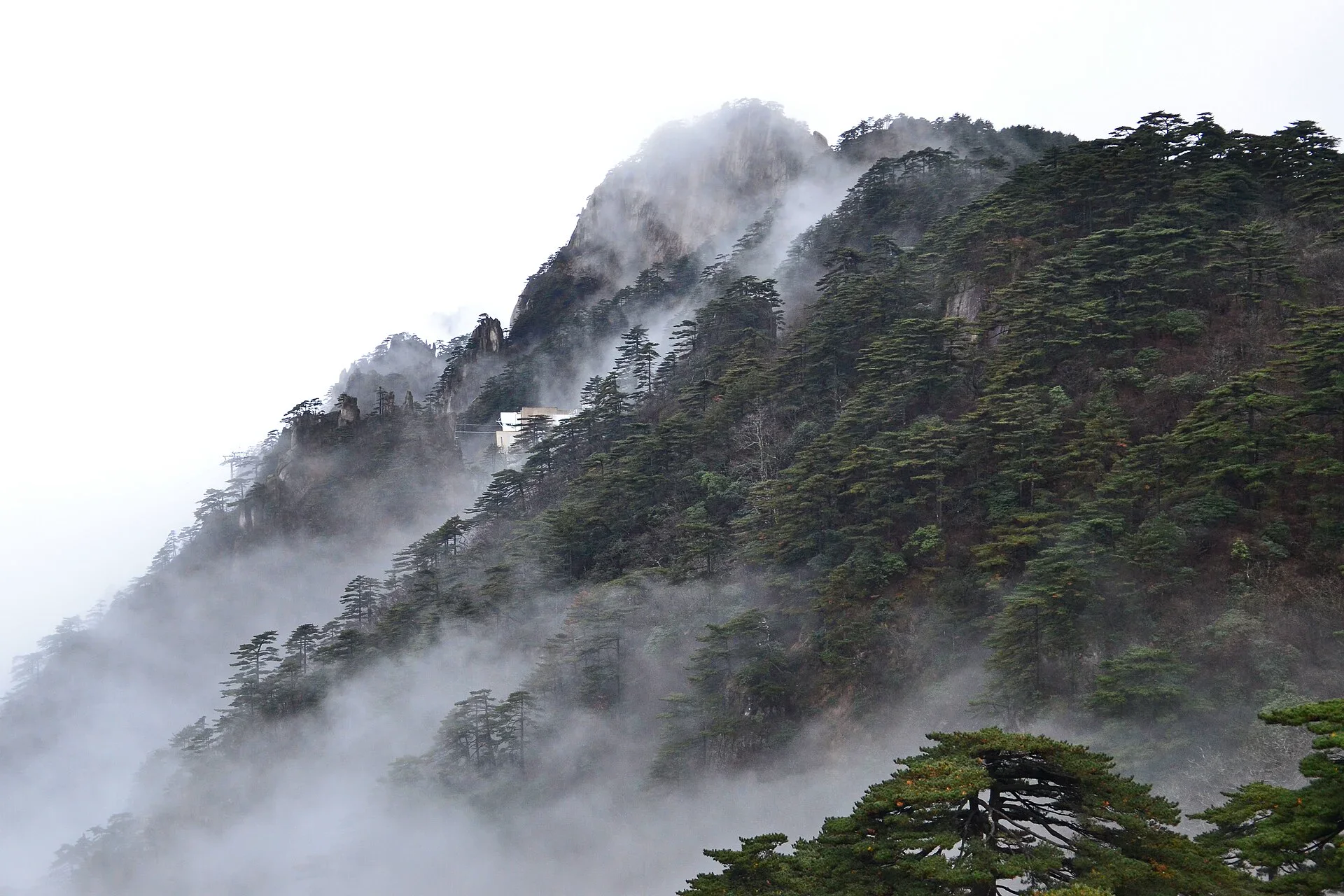 Cloud and granite peaks across the Huangshan landscape associated with Huangshan Maofeng tea
