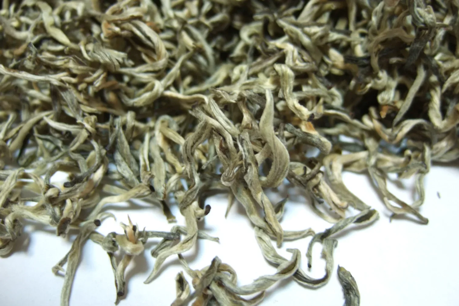 Hunan yellow tea buds showing color and shape relevant to Junshan Yinzhen tea
