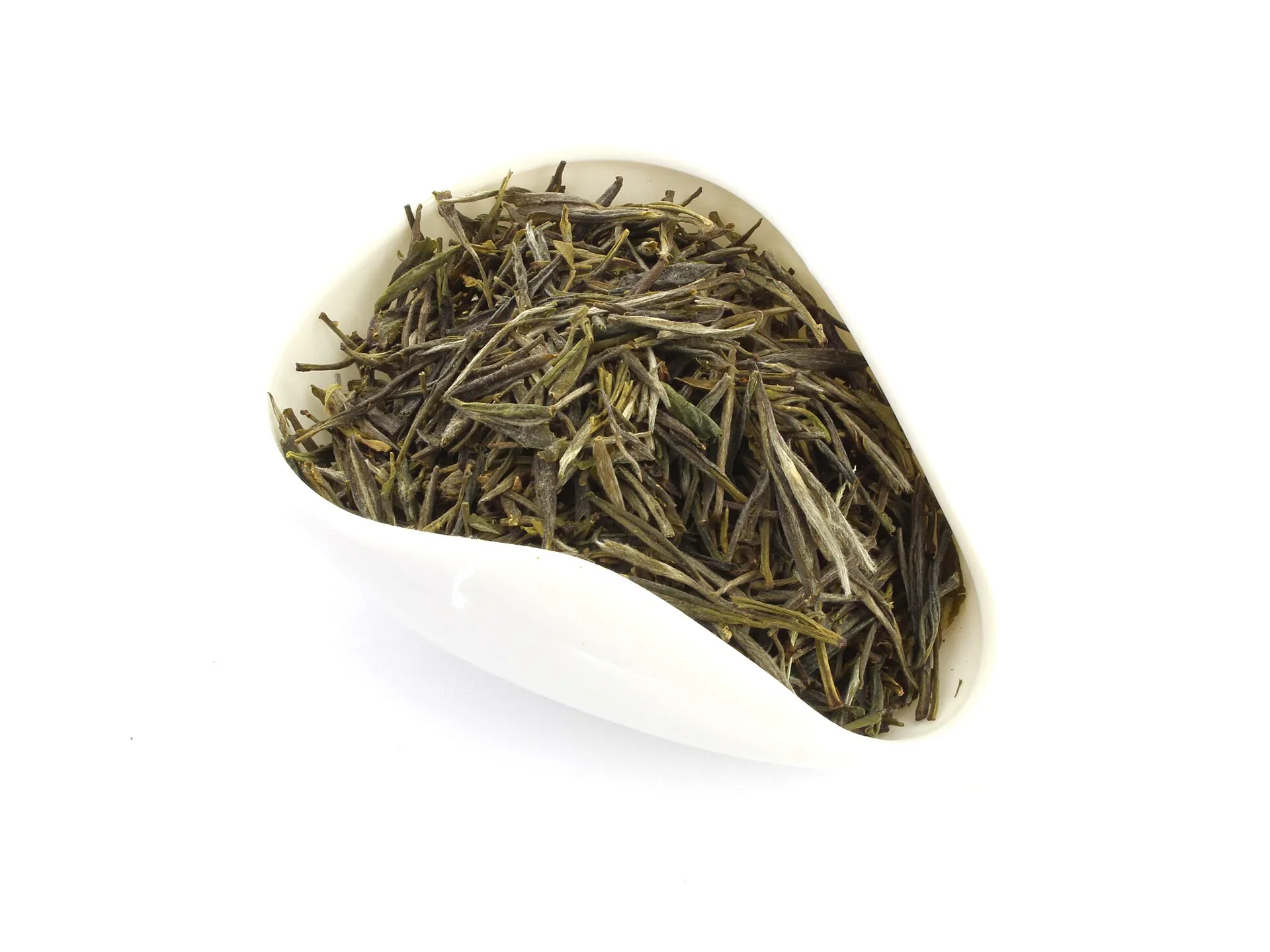 Chinese yellow tea buds in a gaiwan illustrate brewing Junshan Yinzhen tea