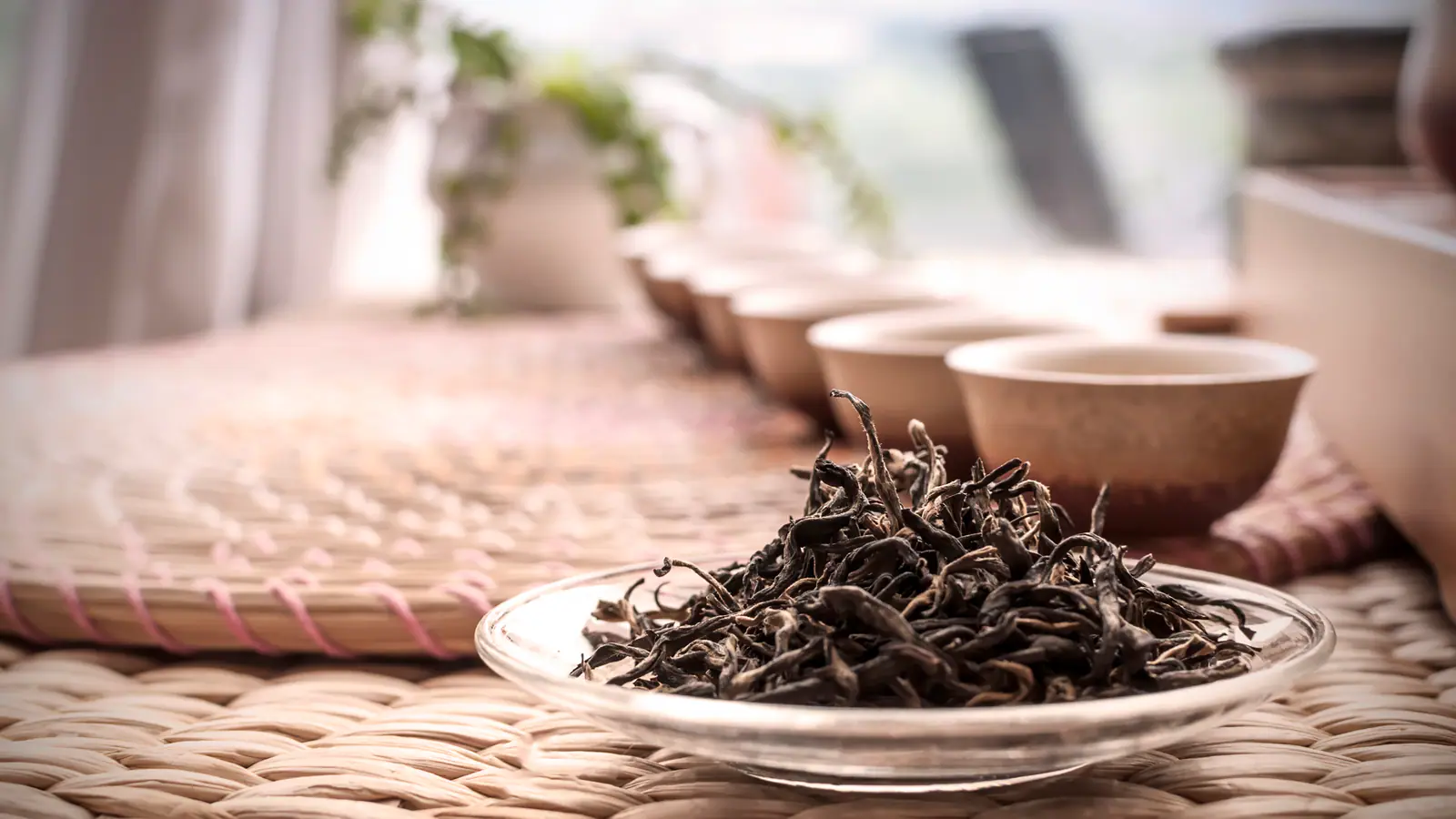 Dark twisted tea leaves used as general Lapsang Souchong leaf context without a Tongmu origin claim