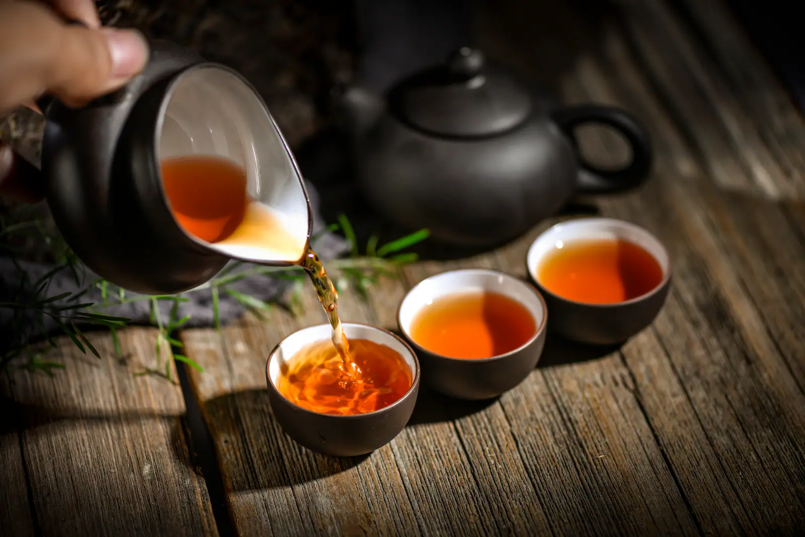 Phoenix Dancong served in small cups during a gongfu-style session