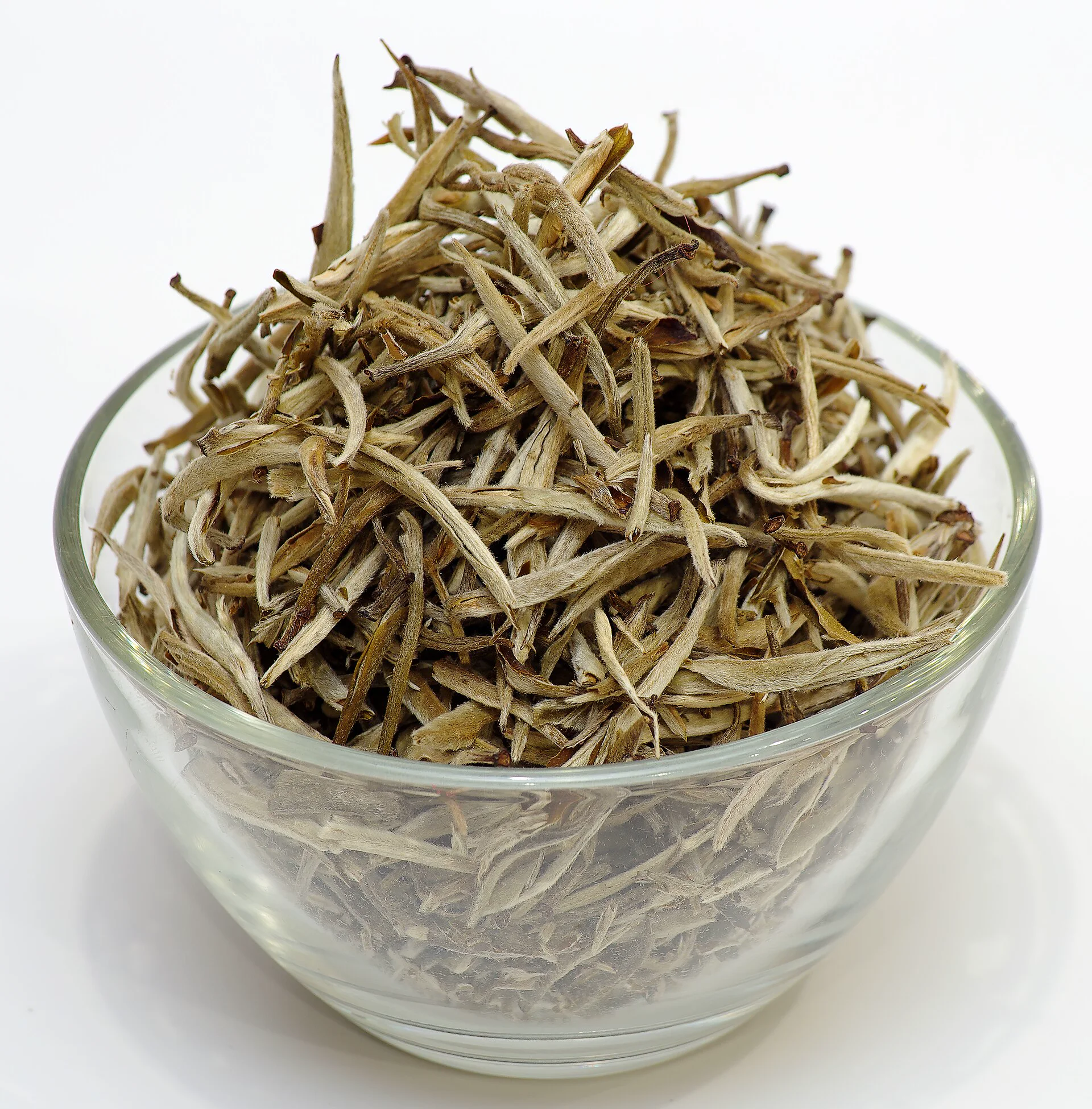 Silver Needle tea dry buds covered with fine white down