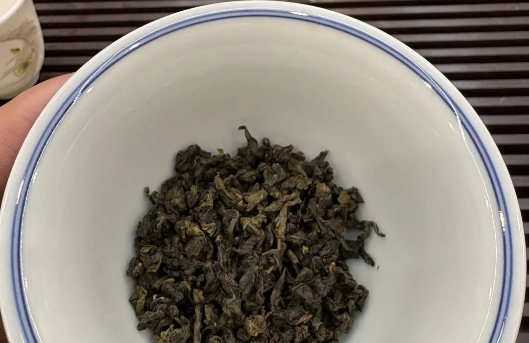A darker roasted Tieguanyin dry-leaf sample held in a blue-rimmed porcelain bowl