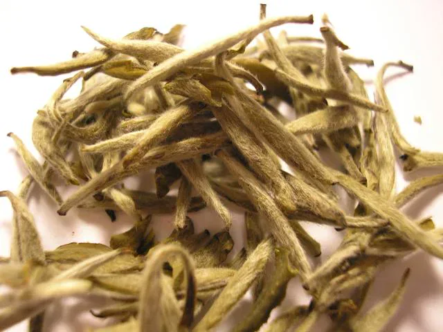 A close view of down-covered Silver Needle tea buds